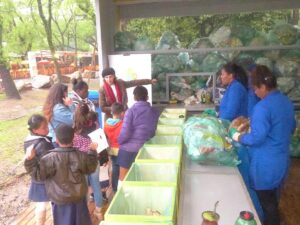 Estação Recicla POA